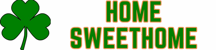 Best Online Casinos in Ireland – Top Irish Casino Sites # 2025